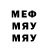 ГАШ Изолятор arnemyggen