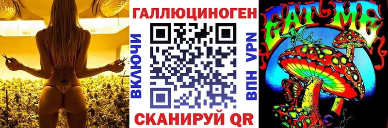 закладка  Кудымкар  Псилоцибиновые грибы Psilocybine cubensis 